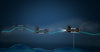 Chasing - Waterlink DVL kit