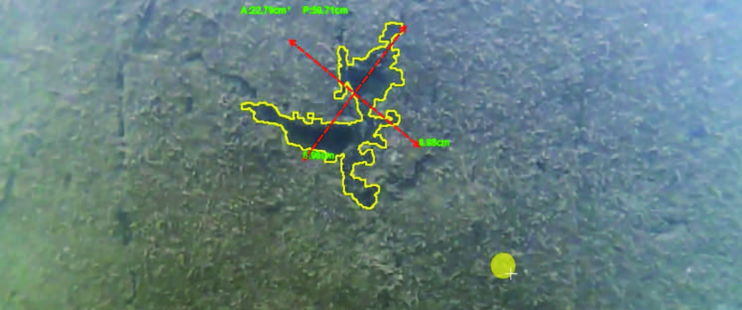 QySea - QY-MT Measurement Tool
