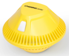 Chasing - Dory Buoy