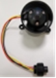 Chasing - Dory motor NO. 5