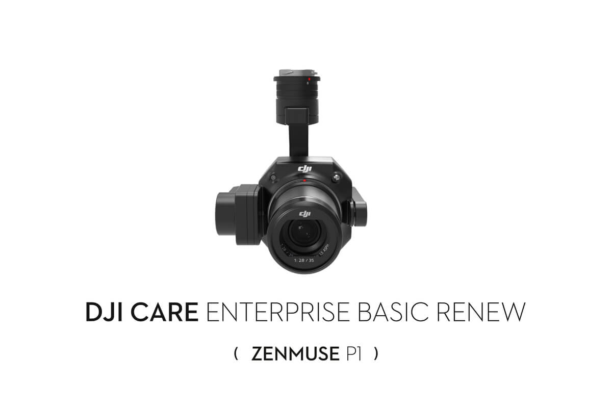 DJI Care Enterprise Basic Renew (P1)