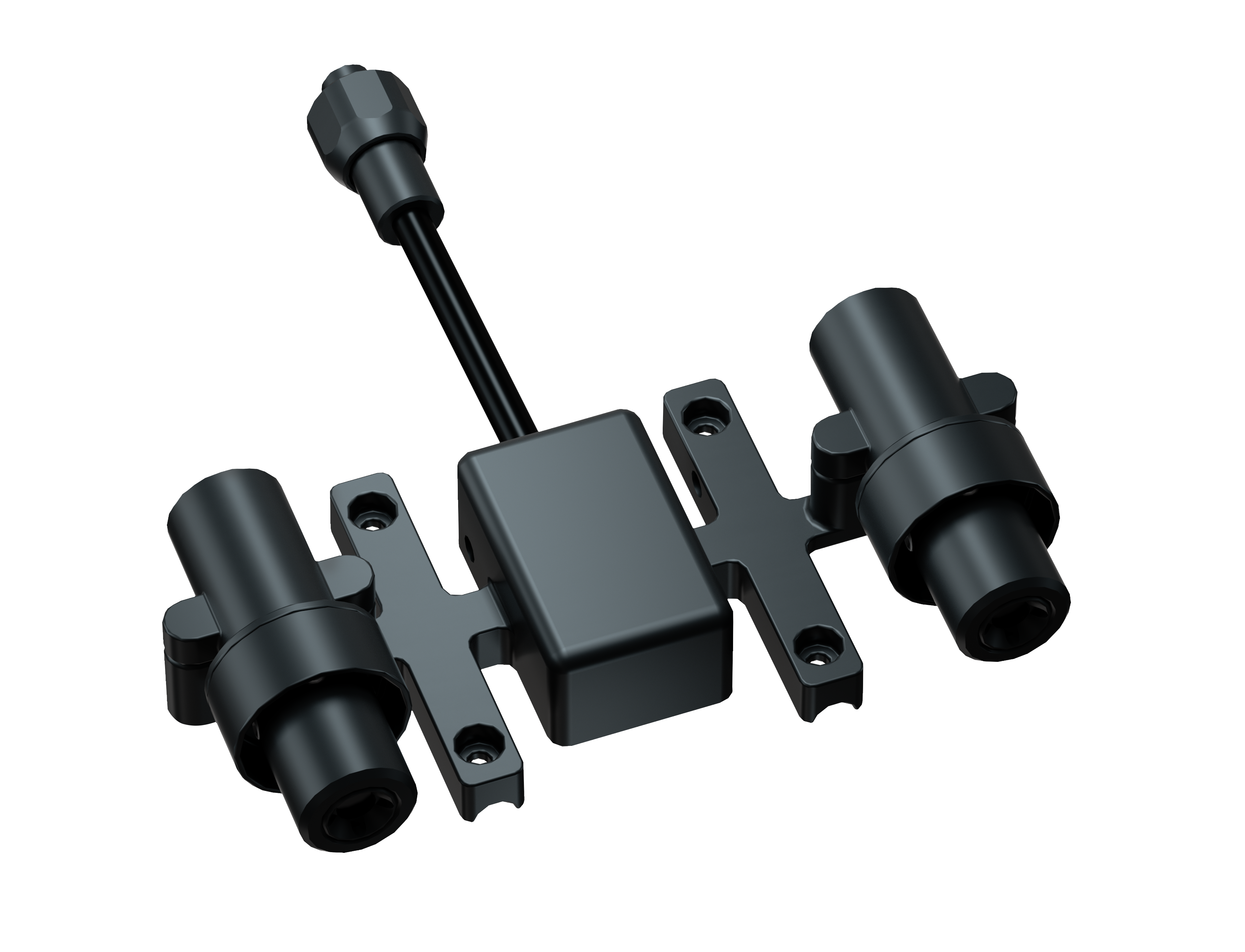 Chasing - M2 Pro ROV Laser Scaler