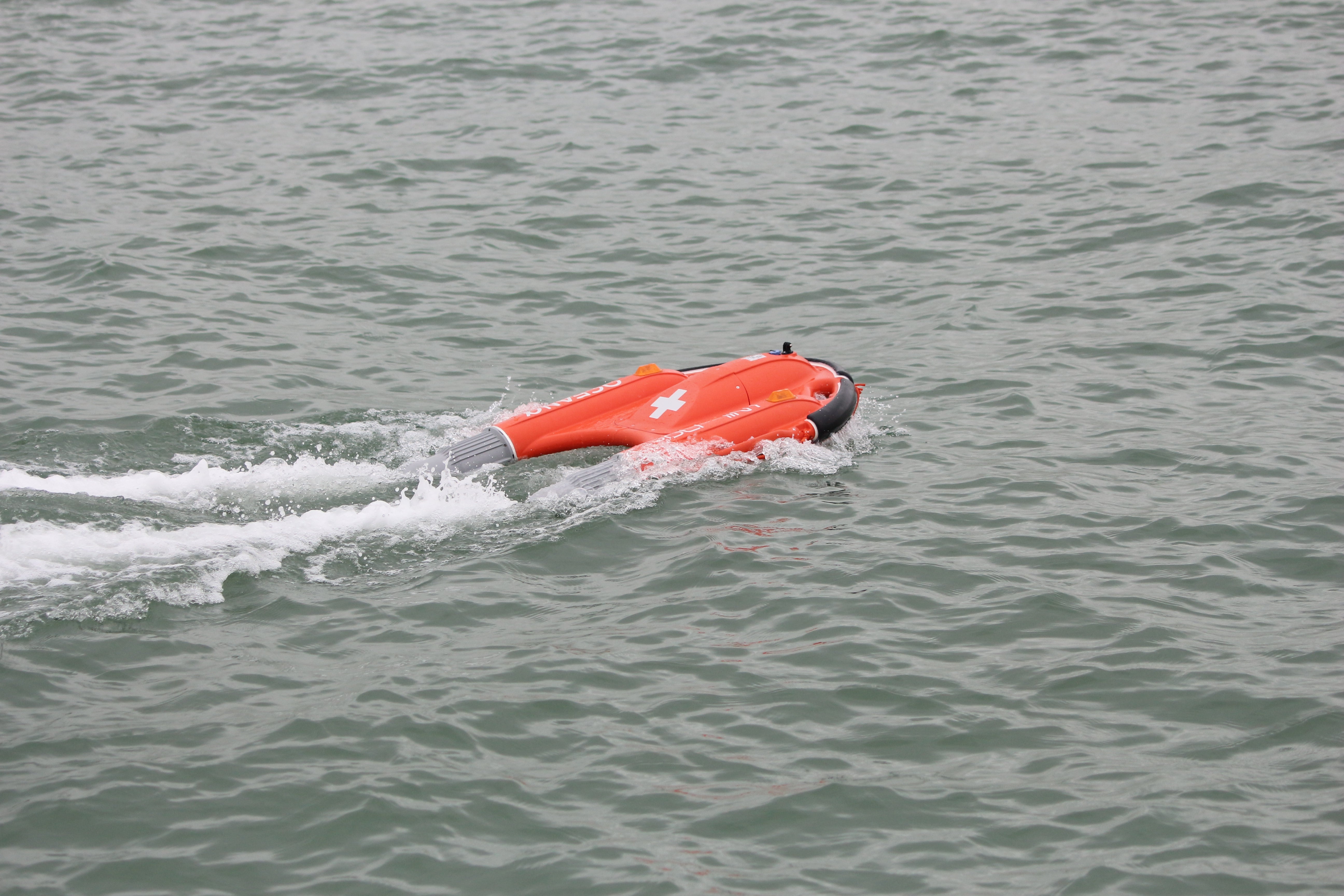 Dolphin 1 Remote Controlled Lifebuoy
