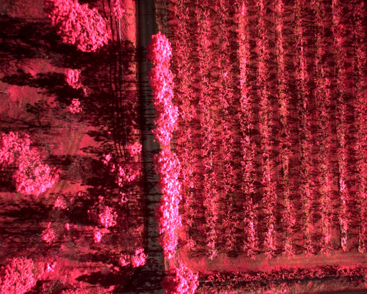 Training - Multispectral Mapping & Post Processing