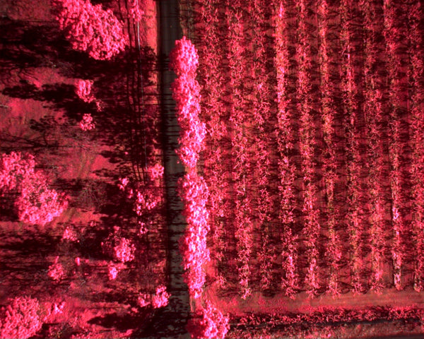 Training - Multispectral Mapping & Post Processing