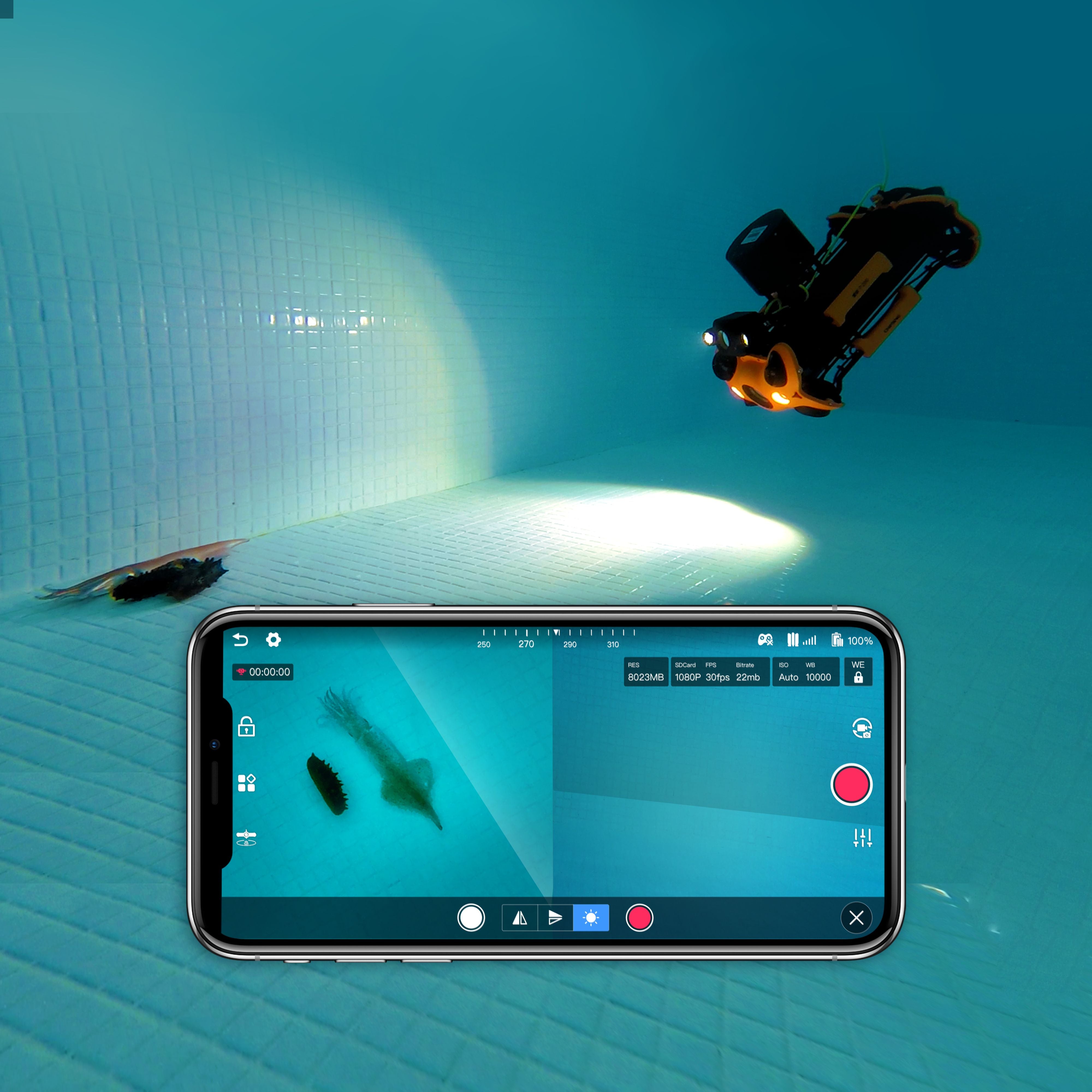 Chasing - M2 Pro ROV Auxiliary Camera