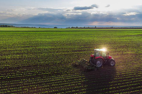 Agriculture