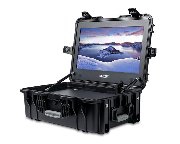 Seetec - 21.5" High-Brightness Field Monitor