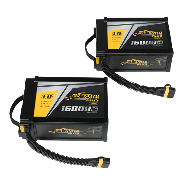 Inspired Flight - IF1200A Battery Set