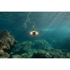Chasing - Gladius Mini Underwater ROV - USED